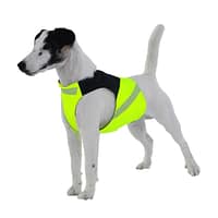 kolari_sporttiliivi_musta-keltainen Turvavest aktiivsele koerale (suurus S)