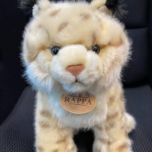 476709811_1152800259678756_8632913527269980107_n Kaisuloom "Ilves" (27 cm)