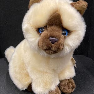 269746303_637690530758229_2943209930413393196_n Kaisuloom “Kass” (24 cm), siiam