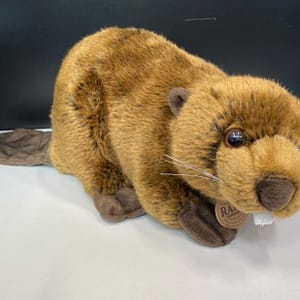 345060920_1749356912161787_7286812035511650598_n Kaisuloom “Kobras” (40 cm)