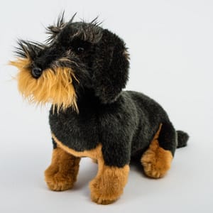 koer Taks, rihmaga (28 cm)