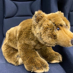 462565302_1228490915027611_3105422172409521402_n Kaisuloom “Karu”, 43 cm