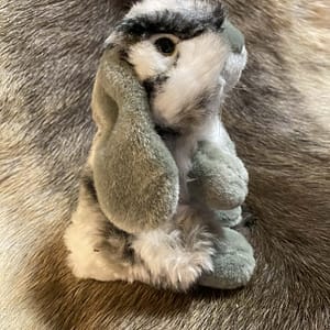 3f07d84a-b960-44a8-a577-f9763e6eb780 Kaisuloom "Jänes" hall-valge (18 cm)