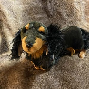 f880a04c-d202-42da-b6f7-90c3aaced99e Taks, pikakarvaline (30 cm)