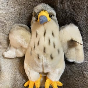 fb102ca2-8b09-449e-814e-e594ce6255f3 Kaisuloom "Kotkas 2" (26 cm)