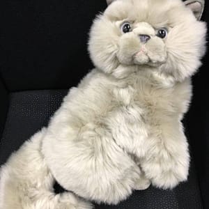 hall kass Kaisuloom “Kass” (30 cm), hall