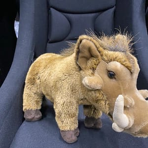 462639881_1081745499998063_1810143560848057396_n Kaisuloom "Metssiga" (35 cm)