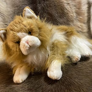 87db14e8-4a58-4d23-887a-7bfae56ebce2 Kaisuloom “Kass 2” lamav (30 cm), oranž