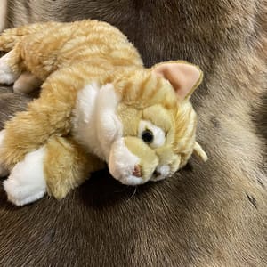 f5683152-7d61-4659-adc7-cbf90206b34e Kaisuloom “Kass” lamav (35 cm), oranž