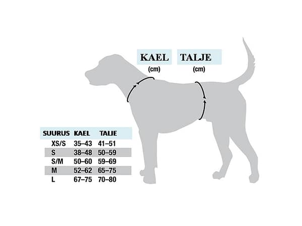 koer Turvavest aktiivsele koerale (suurus S)